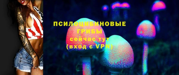 apvp Аркадак