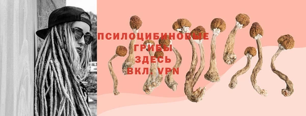 метадон Арсеньев