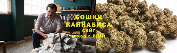 apvp Аркадак