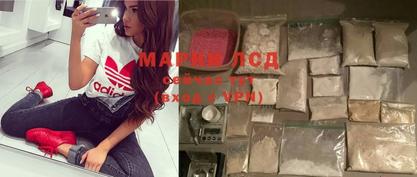apvp Аркадак
