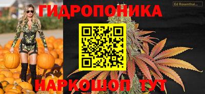 прущая мука Гусев