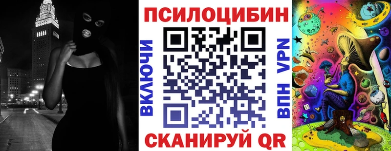 Псилоцибиновые грибы Psilocybe  Нововоронеж 