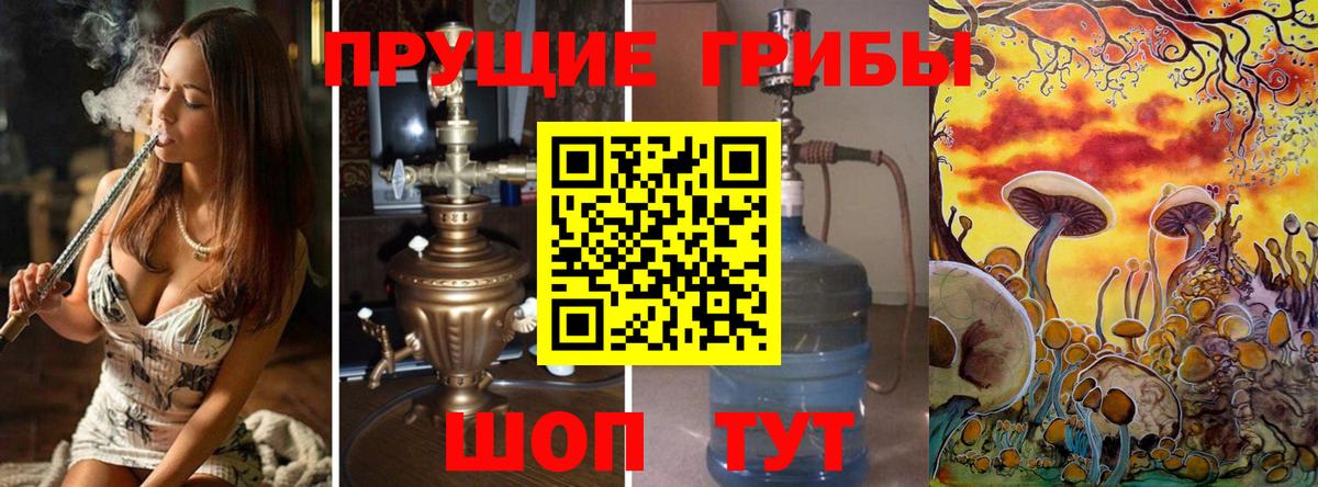 Псилоцибиновые грибы прущие грибы Нововоронеж