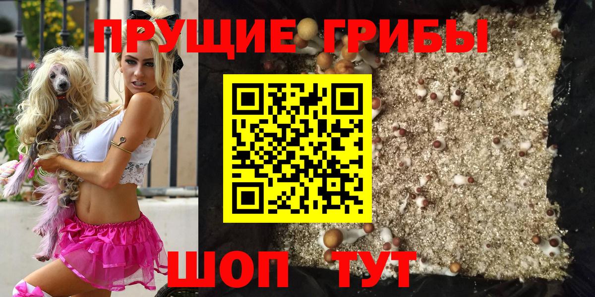 Галлюциногенные грибы Magic Shrooms  купить закладку  Нововоронеж  Вход с VPN 