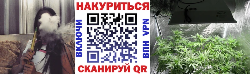Бошки Шишки Amnesia  Нововоронеж 